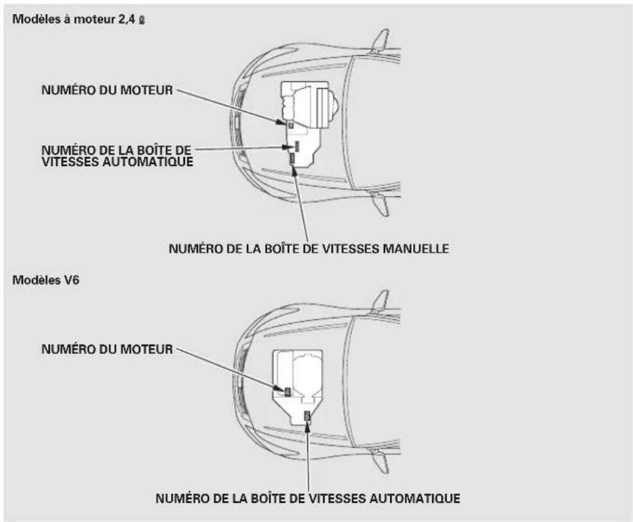 Honda Accord (2009) - Numéros d'identification - 2