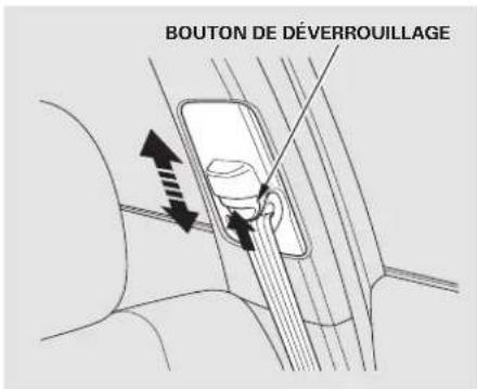 Honda Accord (2009) - Comment s'asseoir correctement6. - 1