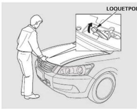 Honda Accord (2009) - Procédures à la station-service - 2