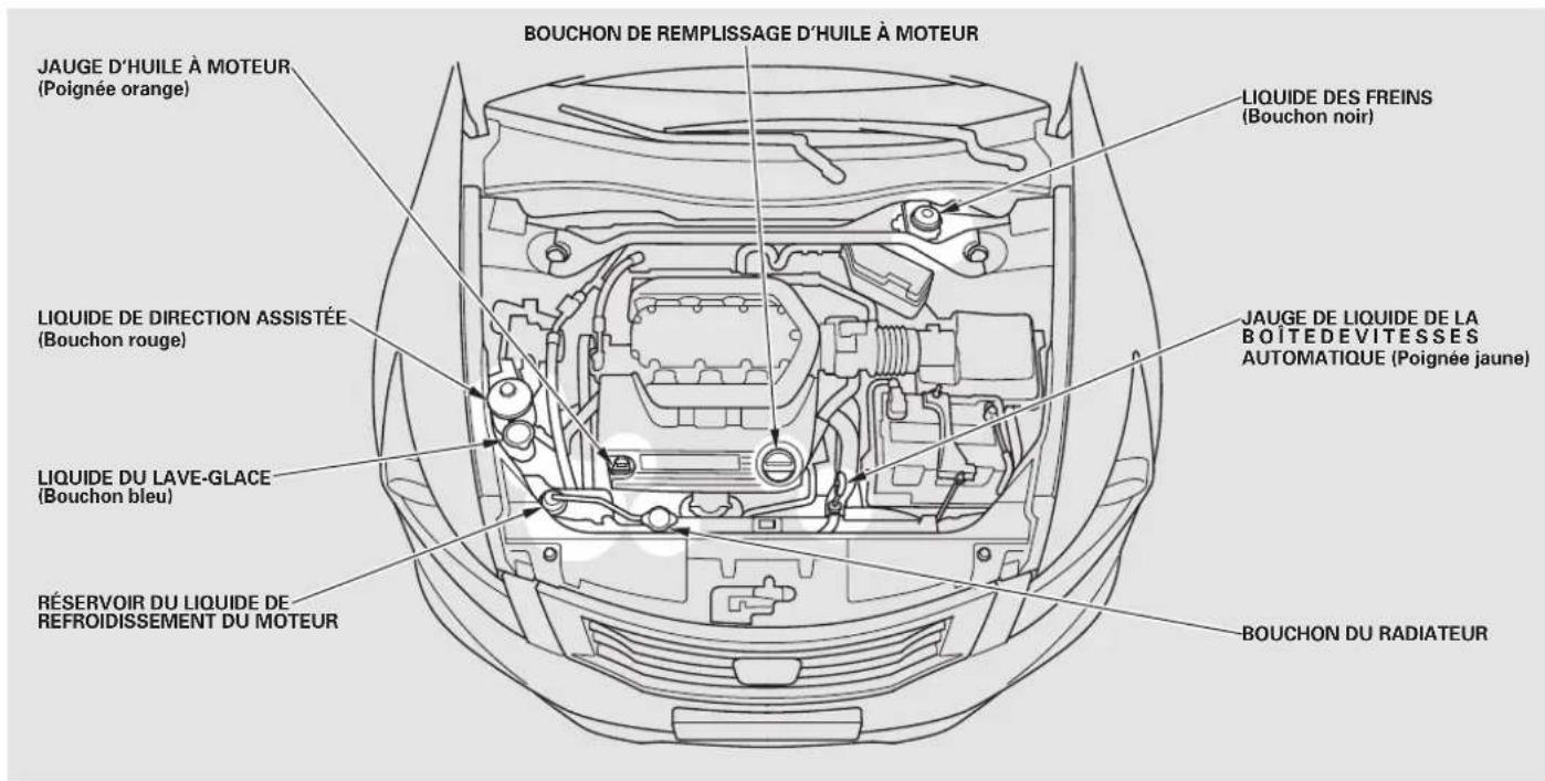 Honda Accord (2009) - Points de ravitaillement - 2