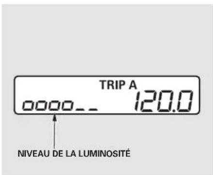 Honda Accord (2009) - Luminosité du tableau de bord, Bouton des feux de détresse - 1