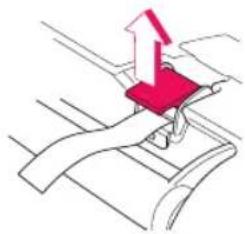 Be Cool Twist - TWIST - 1