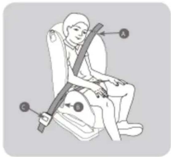 Be Cool Storm Isofix - STORM isofix - 2