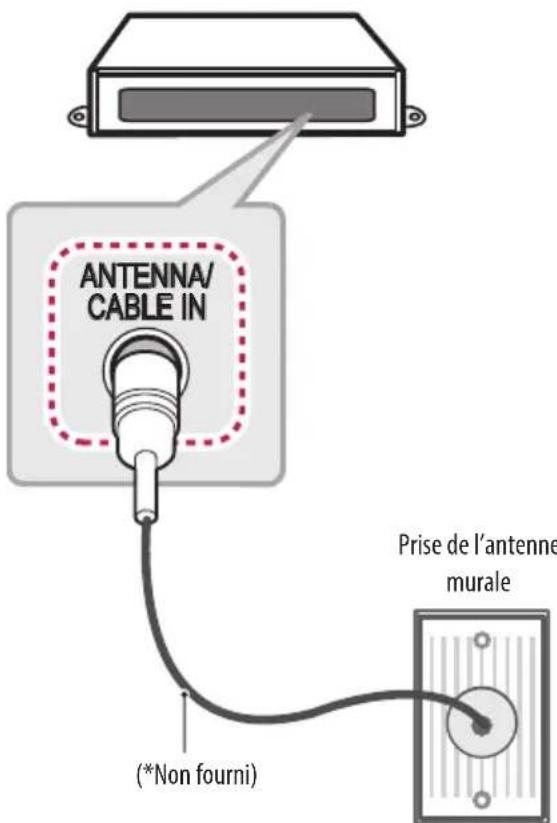 ANTENNA/ CABLE IN (*Non fourni) Prise de l'antenne murale