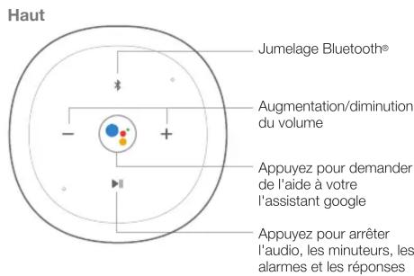 JBL Link 20 - 4