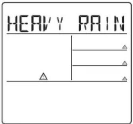 BRESSER 4CAST NGW - CRITICAL WEATHER INFORMATION - 1