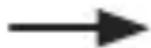 BRESSER Temeo IO - Andamento delle temperature - 2