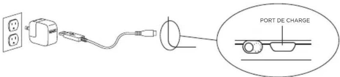 Zagg ZAGGkeys Cover - CHARGEMENT - 1