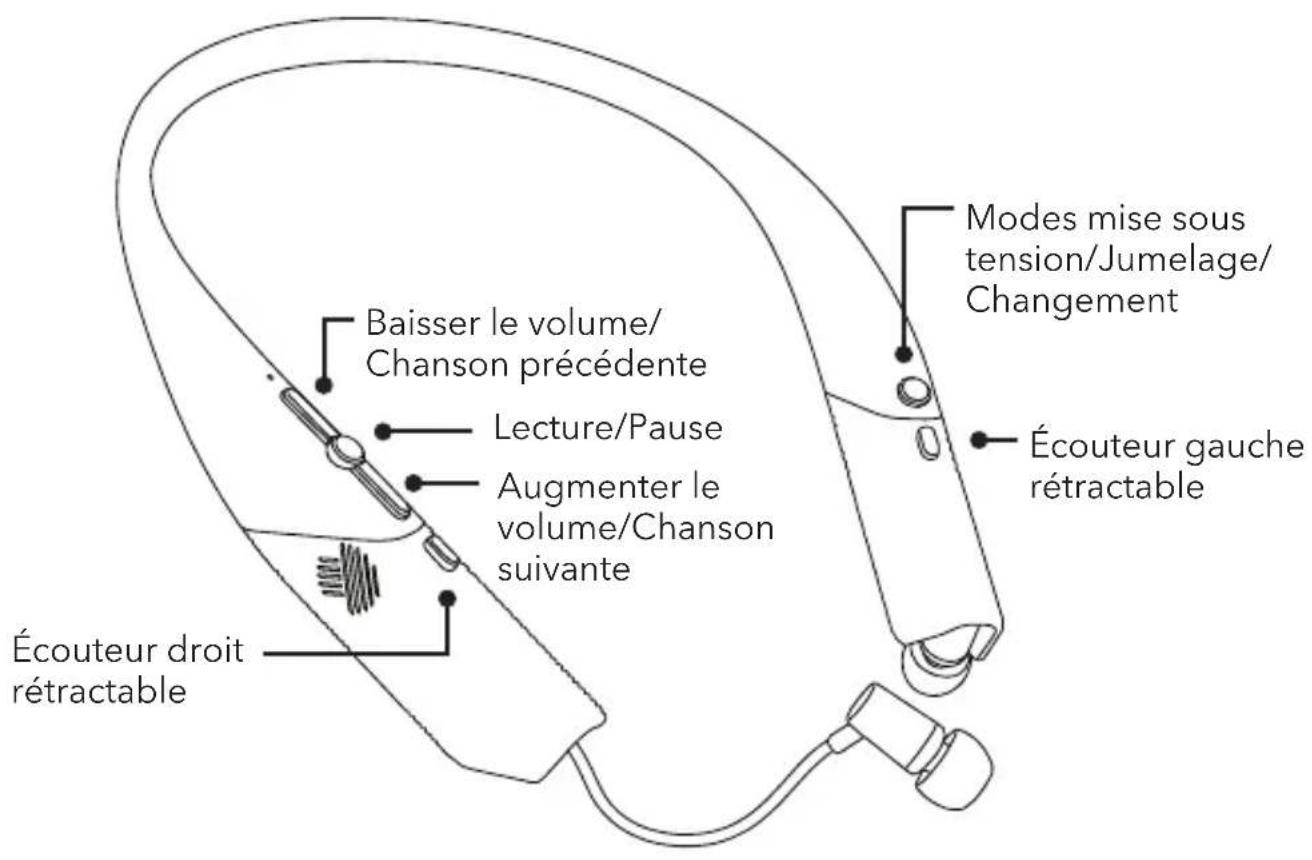 Zagg Flex Arc - MISE SOUS TENSION ET JUMELAGE - 1