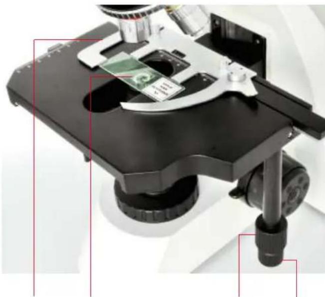 BRESSER SCIENCE TRM 301 - Objektisch (Abb. 6) - 1