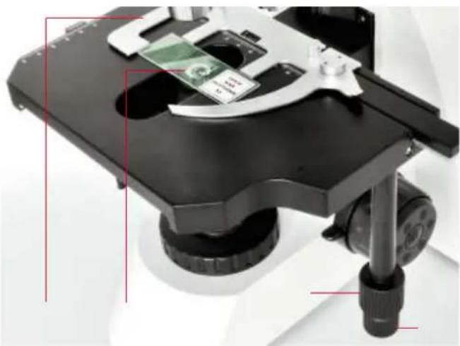 BRESSER SCIENCE TRM 301 - Stage (Fig. 6) - 1
