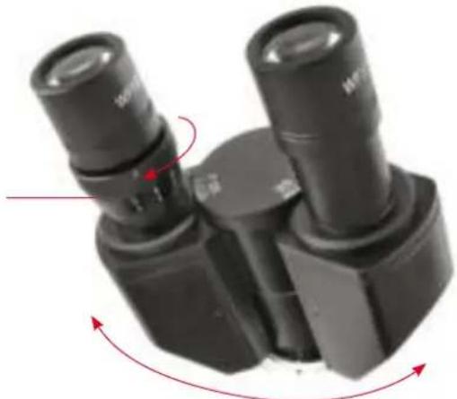 BRESSER SCIENCE TRM 301 - Adjustment of interpupillary distance (Fig. 4) - 1