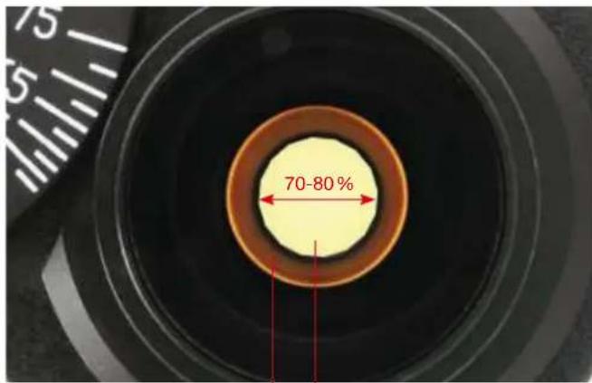 BRESSER SCIENCE TRM 301 - Köhlersche Beleuchtung (Abb. 7) - 1