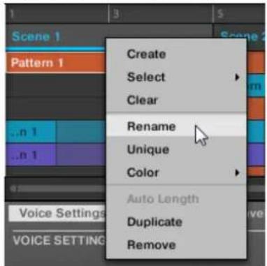 NATIVE INSTRUMENTS Maschine Jam - Renommer les Scenes dans l'affichage Song - 2