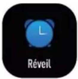 Sunstech FITLIFE - Présentation de la fonction d'icône - 4