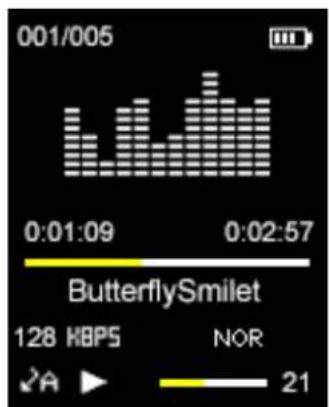 Sunstech Ibiza - Musique - 1