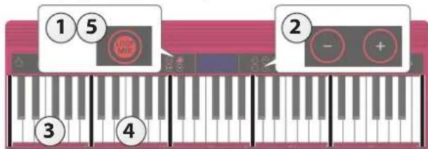 ROLAND GO:KEYS GO61K - MÉMO - 1