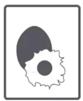 TELEFUNKEN TEL1496LSDD - SOLUTION - 6