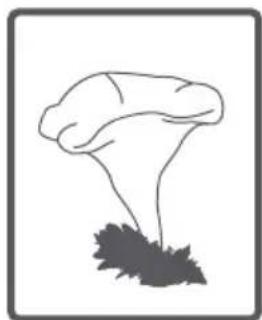 TELEFUNKEN TEL1496LSDD - SOLUTION - 15