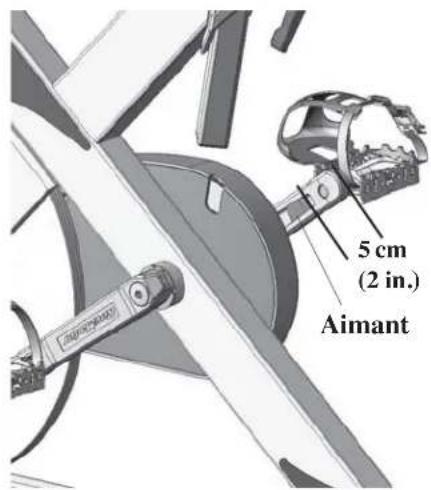 LeMond Fitness Pilot II - Aimant: - 1