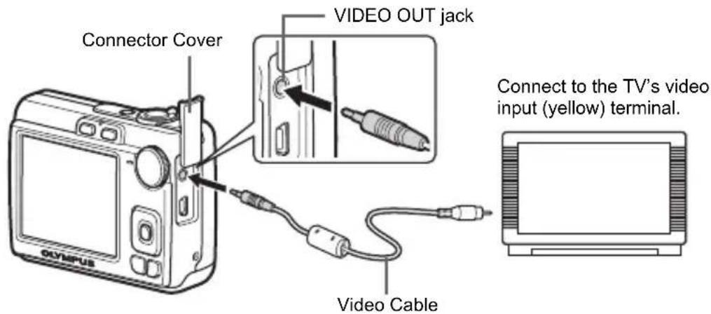 Connector Cover VIDEO OUT jack Connect to the TV's video input (yellow) terminal. Video Cable Olympus