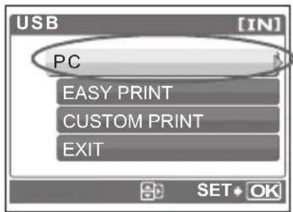 USB [IN] PC EASY PRINT CUSTOM PRINT EXIT SET OK
