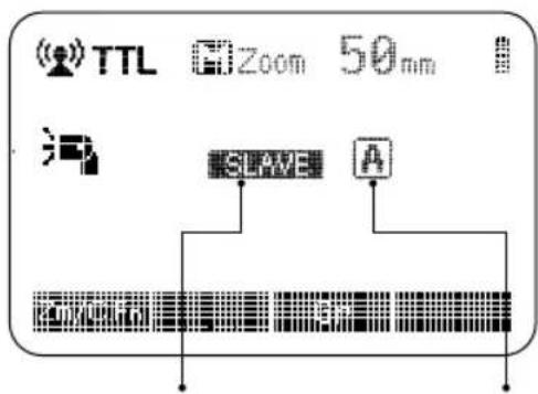 Hähnel MODUS 600RT - Funkkontrolle Aufnahme - 2