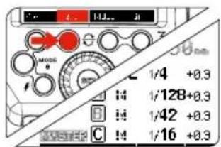 Hähnel MODUS 600RT - M : Prise de vue avec flash sans fil avec flash manuel - 1