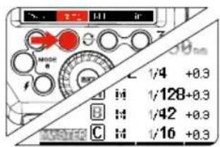Hähnel MODUS 600RT - M: Wireless Flash Shooting with Manual Flash - 1