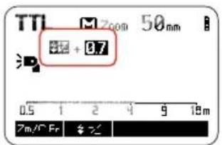 Hähnel MODUS 600RT - Einstellung FEC: - 1