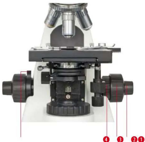 BRESSER BIOSCIENCE 401000X - Grob- und Feinfokussierung (Abb. 5) - 1
