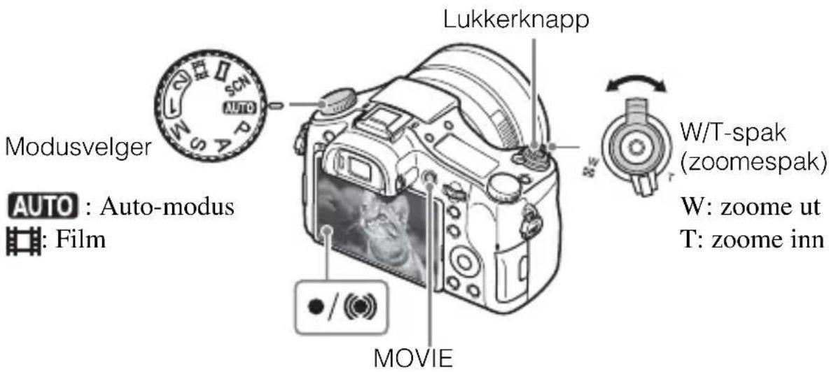 SONY Cybershot DSCRX10 IV - Ta stillbilder/ta opp film - 1