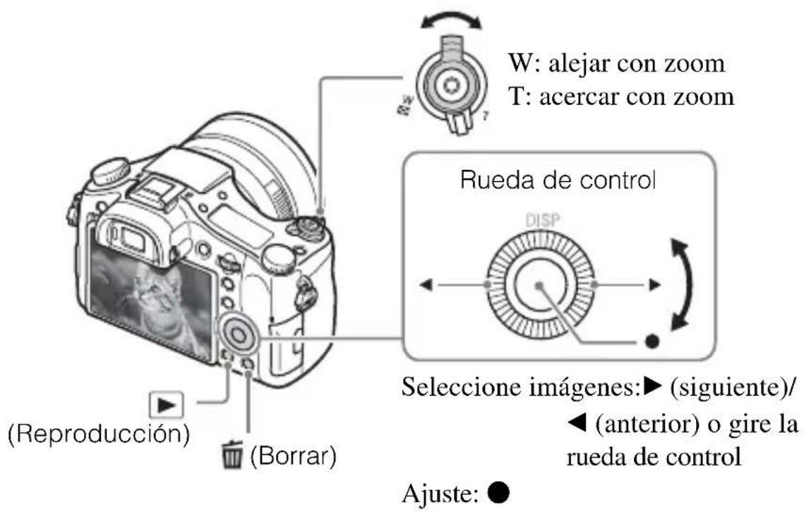 SONY Cybershot DSCRX10 IV - Visualización de im Agenes - 1