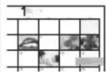 SONY Cybershot DSCRX10 IV - Characteristicas de "PlayMemories Home" - 3