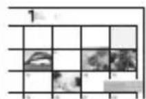 SONY Cybershot DSCRX10 IV - Funkcie softféru „PlayMemories Home“ - 3