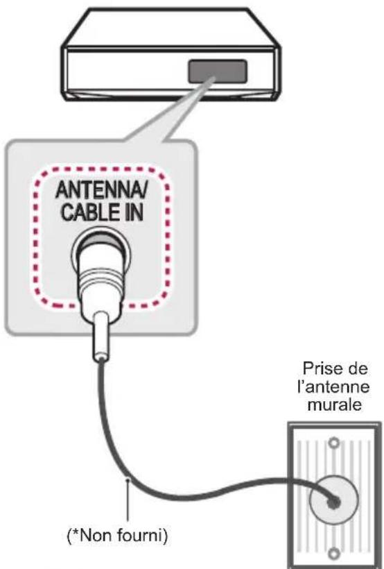 ANTENNA/ CABLE IN (*Non fourni) Prise de l'antenne murale