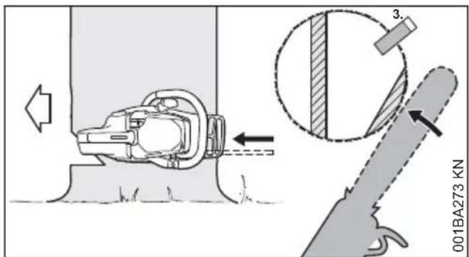 STIHL MS 211 - Taglio di abbattimento con fascia di sicurezza (albero normale) - 2