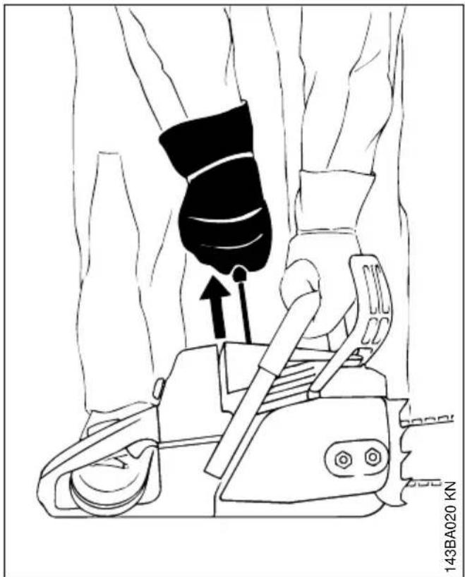 STIHL MS 211 - Standard-Ausfuhrungen - 1