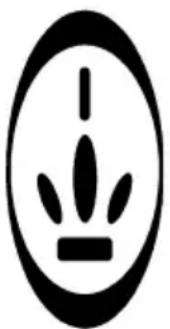 PRINCESS 1920 - Cottura delle uova - 1