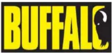 BUFFALO J300 - Sikkerhetssticks - 1