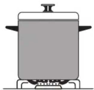 TECHWOOD TFSCG55 - Utilisation des brûleurs du plan de cuisson - 4