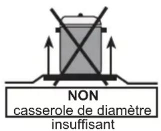 PROLINE PMC 66WF - Lorsque vous utilisez la plaque électrique - 3