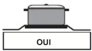 PROLINE PMC 66WF - Lorsque vous utilisez la plaque électrique - 1
