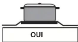 WALTHAM WTFSC M66B - Lorsque vous utilisez la plaque électrique - 1