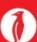 Calligaris .com Base - 4