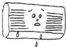 AIRTON CSH 12 - PHENOMENES NORMAUX - 2