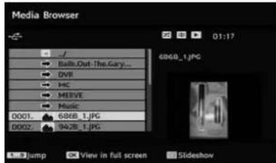 SABA L22V884 - Viewing JPEG Files - 1