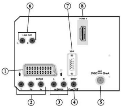 SABA L22V884 - Viewing the Connections-Back Connectors - 1