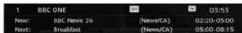 SABA L22V884 - set to the digital terrestrial television broadcasting. Information Banner - 1