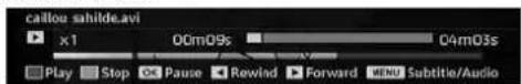 SABA L22V884 - Video Playback (optional) - 1